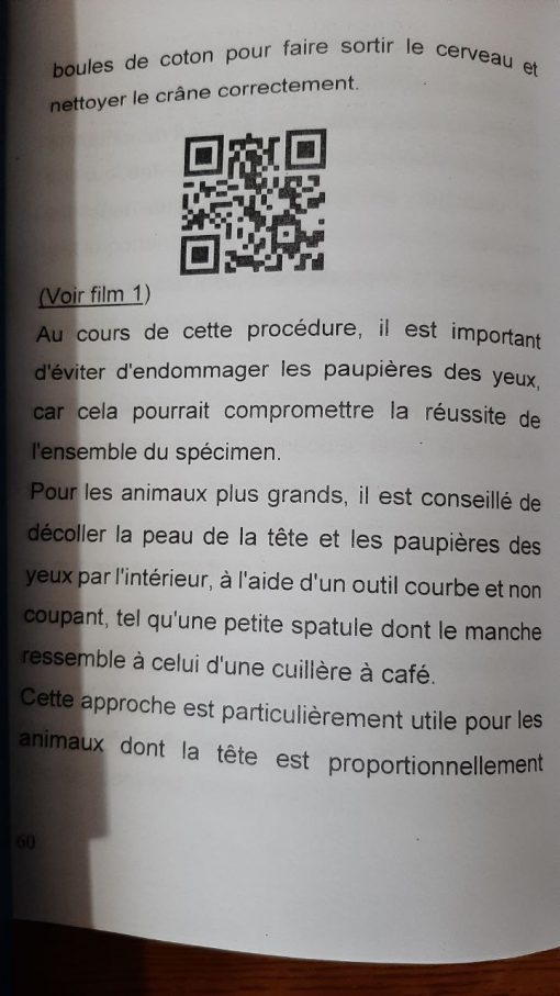 Taxidermie Embaumement de poisson Prèparer une murène 2024 - immagine 2