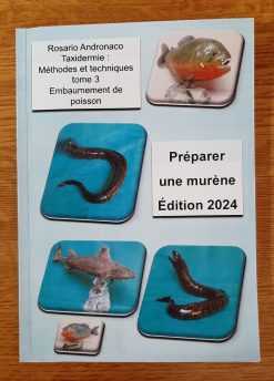 Taxidermie Embaumement de poisson Prèparer une murène 2024