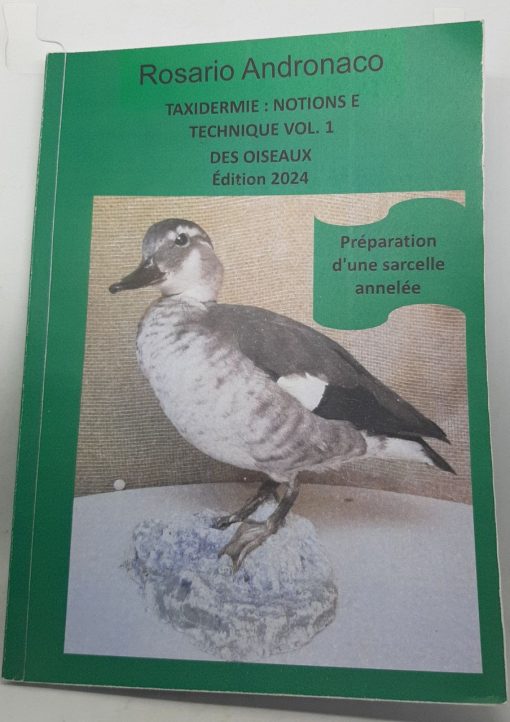 Taxidermie, préparation d'un canard annelé édition 2024