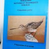 Taxidermie Prèparation d’un Snipe edizione 2024
