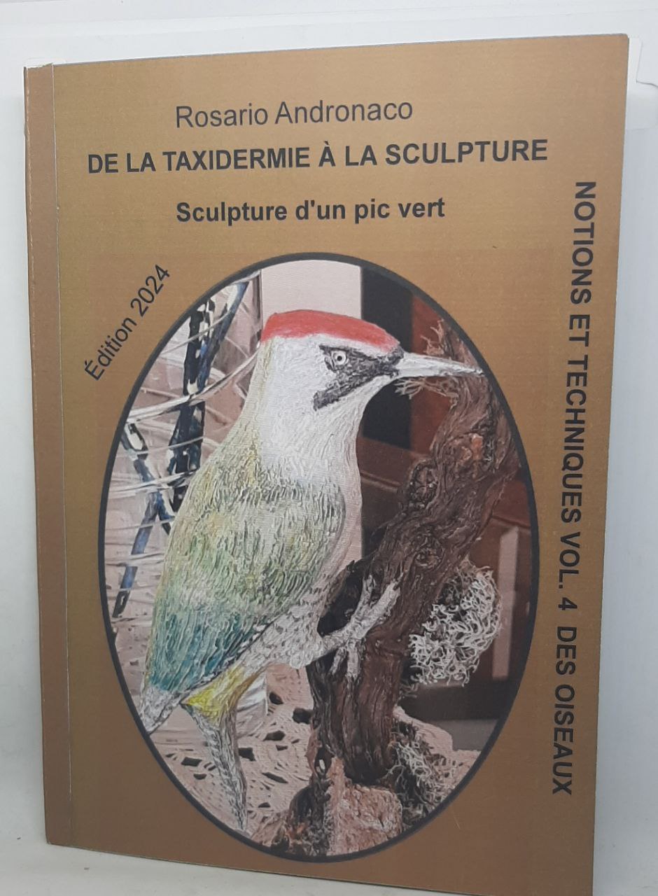 De la taxidermie à la sculpture Sculpture d'un pic vert Édition 2024