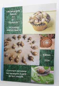 Snails Nature art and sculpture how to reconstruct snails from shells Edition 2024