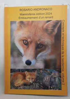 Taxidermie Mammiféres Embaumement d’un renard édition 2024