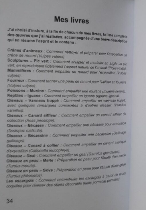 Snails Nature art and sculpture how to reconstruct snails from shells Edition 2025 - immagine 4