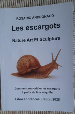 Snails Nature art and sculpture how to reconstruct snails from shells Edition 2025