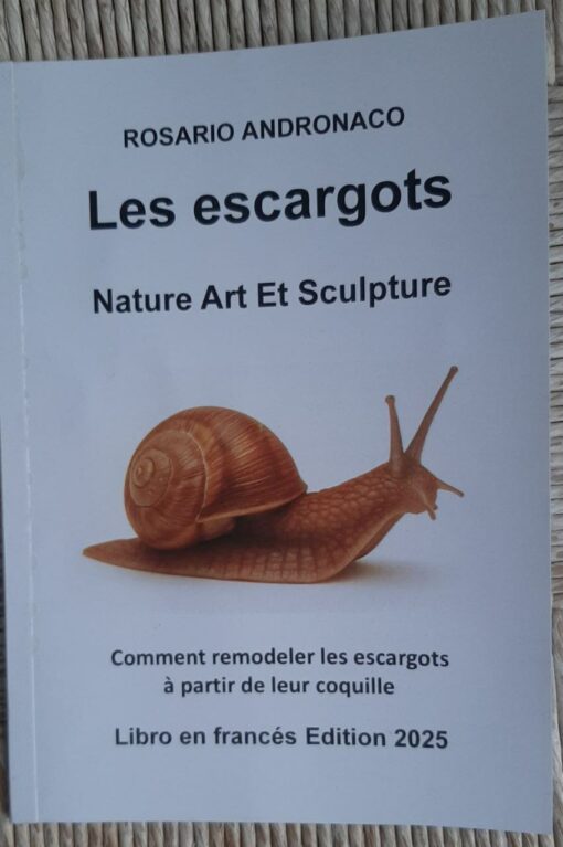 Snails Nature art and sculpture how to reconstruct snails from shells Edition 2025