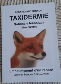 Taxidermie Mammiféres Embaumement d’un renard ed 2025