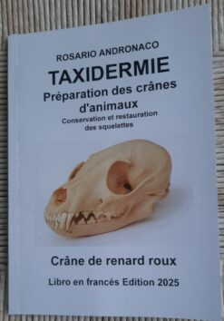 Préparation des crânes d’animaux en français ed 2025