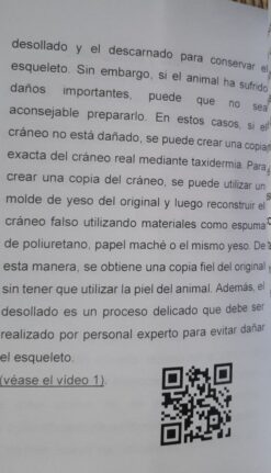 Alternative view of Preparaciòn del craneo de animales En español