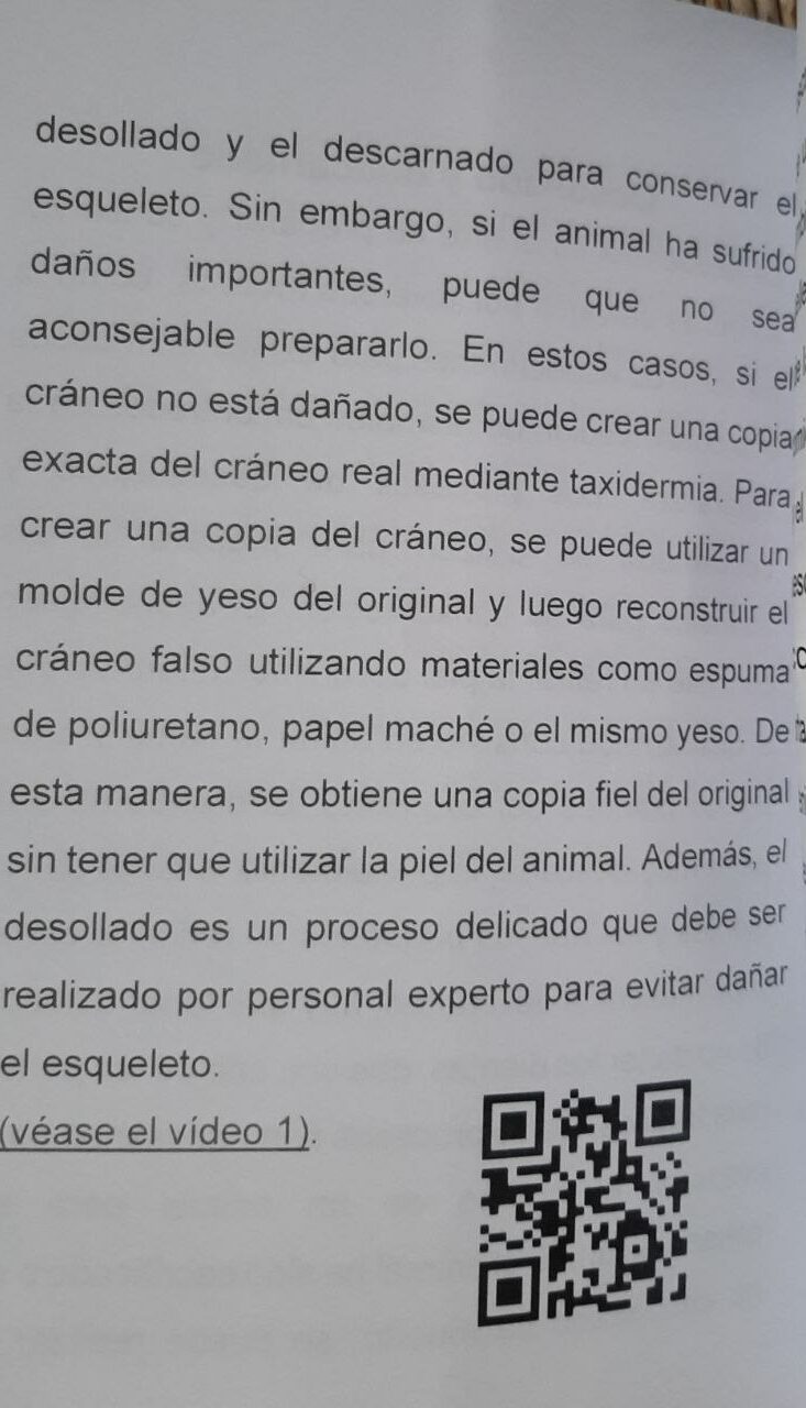 Preparaciòn del craneo de animales En español - immagine 2