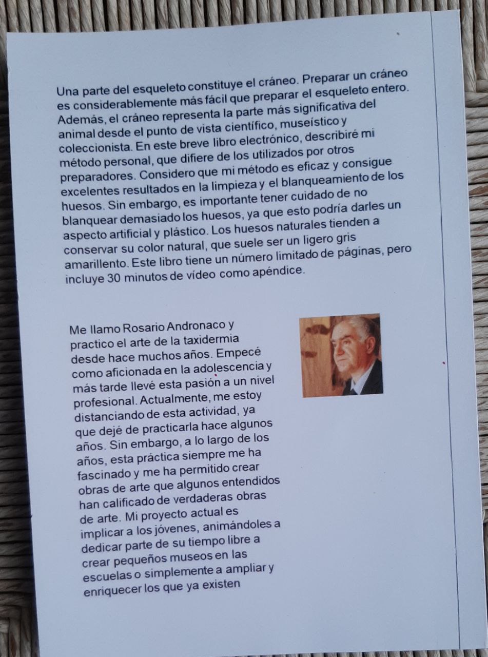 Preparaciòn del craneo de animales En español - immagine 4