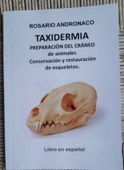 Preparaciòn del craneo de animales En español