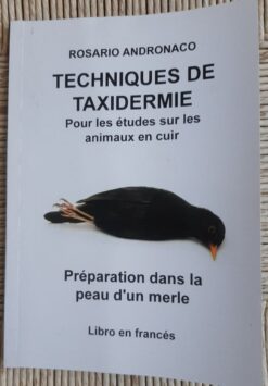 Taxidermie études sur les animaux en cuir
