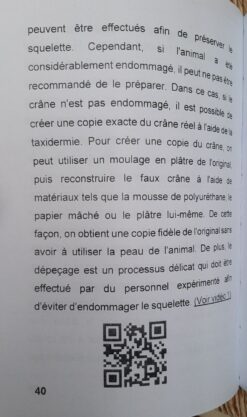 Alternative view of Préparation des crânes d’animaux en français