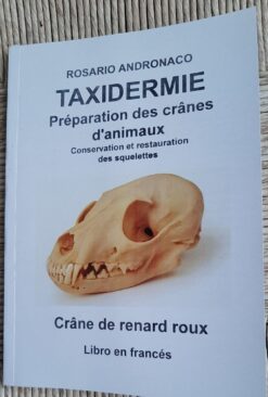 Préparation des crânes d’animaux en français