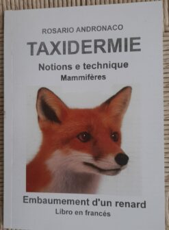 Taxidermie Mammiféres Embaumement d’un renard