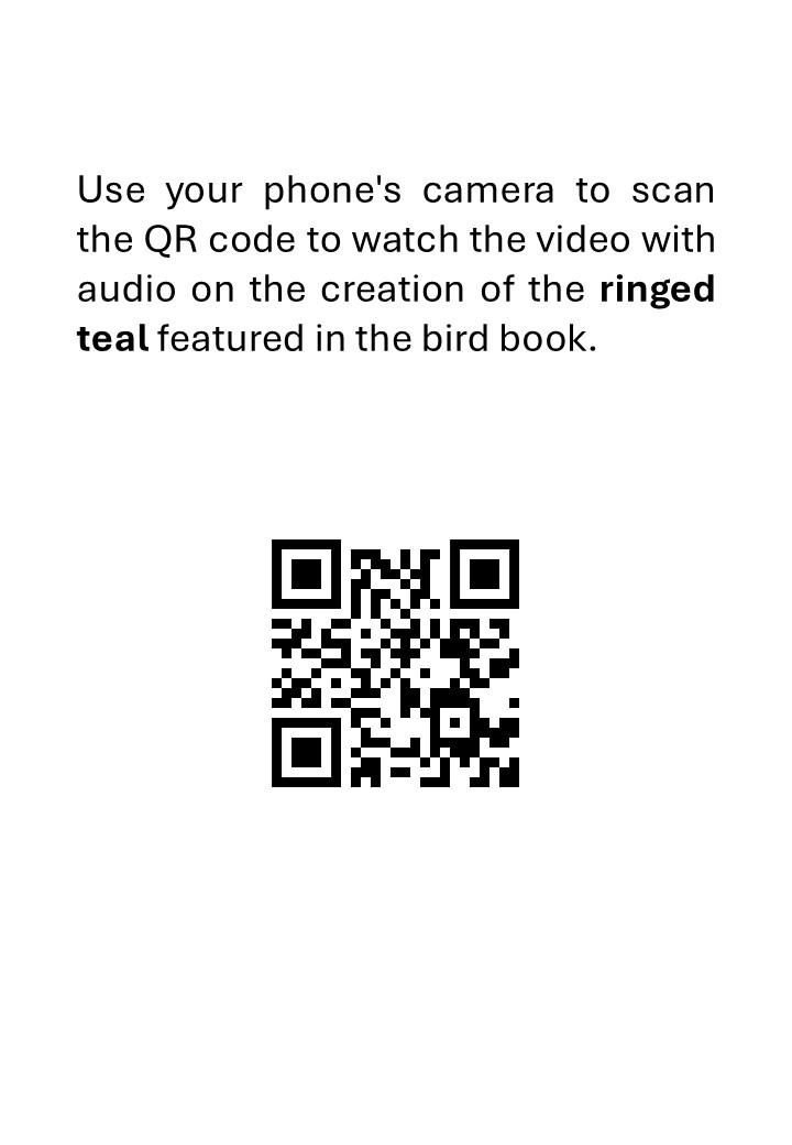 Taxidermy birds Preparing a ringed teal - immagine 3