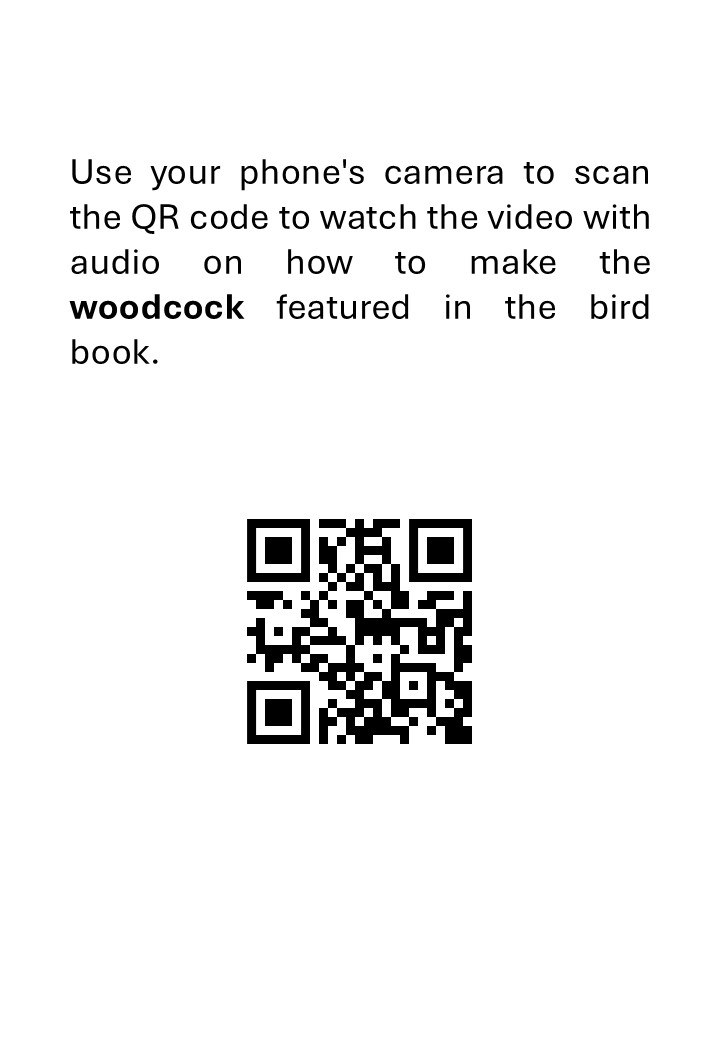 Taxidermy Preparing a woodcock - immagine 3