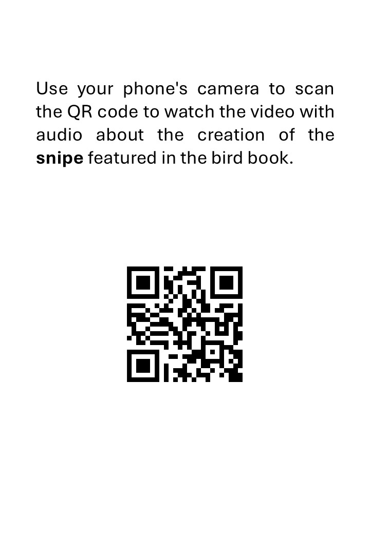 Taxidermy birds Preparation of a snipe - immagine 3