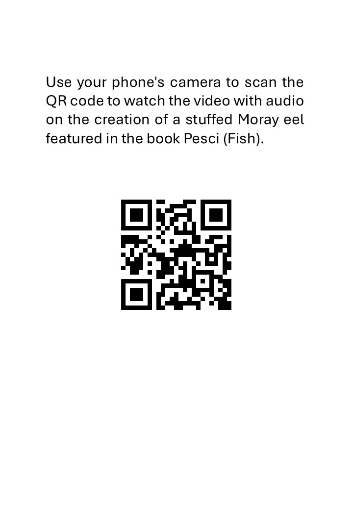 Taxidermy, fishes preparation of a moray eel - immagine 3