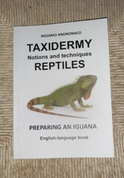 Taxidermy, Reptiles, Preparing an Iguana