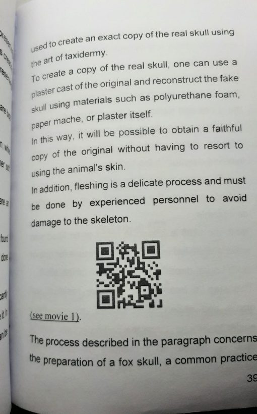 Taxidermy, Preparation of animal skulls, ed. 2025 - immagine 2