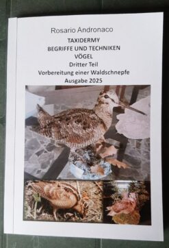 TAXIDERMIE: VÖGEL Dritter Teil Vorbereitung einer Waldschnepfe Auflage 2025