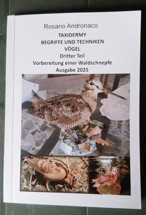 TAXIDERMIE: VÖGEL Dritter Teil Vorbereitung einer Waldschnepfe Auflage 2025