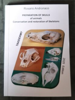 Taxidermy, Preparation of animal skulls, ed. 2025
