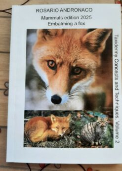 Taxidermy: vol. 2 mammals Embalming a fox edition 2025