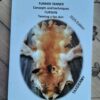 Furrier tanner concepts and techniques, furskin, tanning a fox skin ed 2025