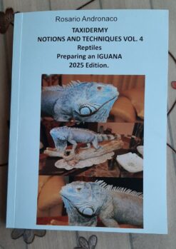 Taxidermy, Reptiles, Preparing an Iguana edition 2025