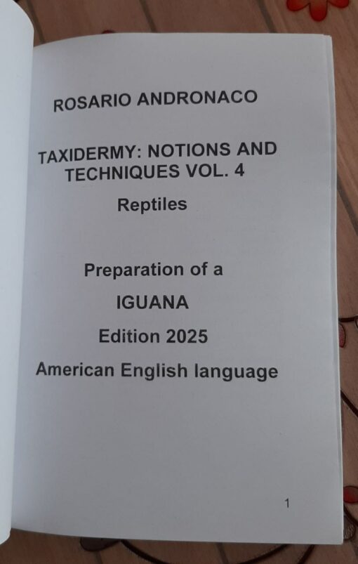 Taxidermy, Reptiles, Preparing an Iguana edition 2025 - immagine 3