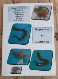 Taxidermy, concepts and techniques volume 3 fishes preparation of a moray eel diction 2025