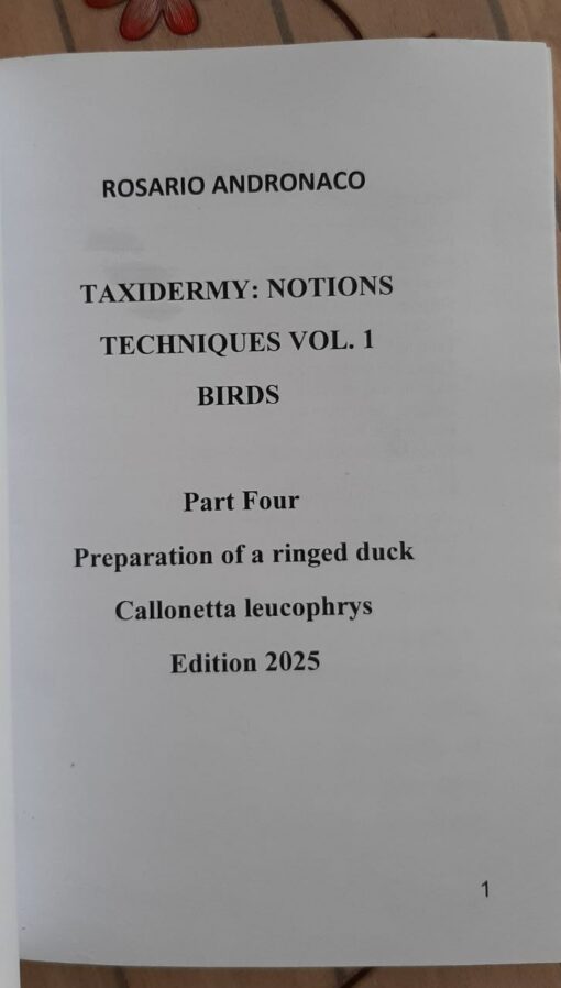 Taxidermy Concepts and Techniques vol 1 birds edition 2025 part four Preparing a ringed teal - immagine 3