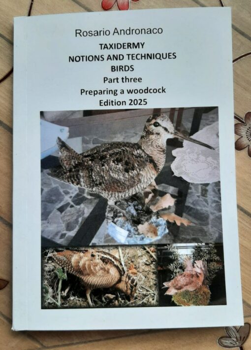 Taxidermy notions and techniques birds Part 3 Preparing a woodcock edition 2025