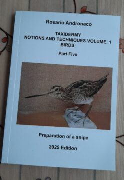 Taxidermy notions and techniques Vol 1 birds part 5 Preparing a snipe 2025 ed.