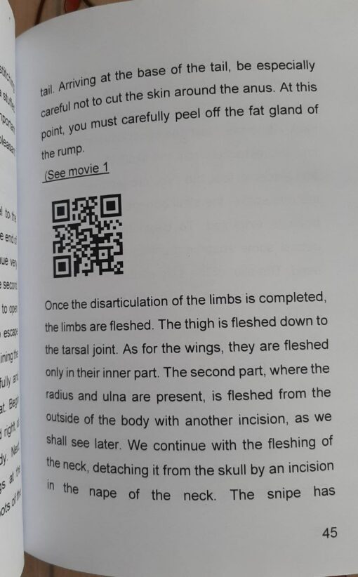Taxidermy notions and techniques Vol 1 birds part 5 Preparing a snipe 2025 ed. - immagine 2