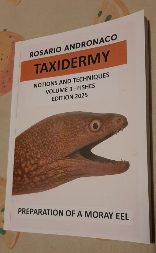 Taxidermy, concepts and techniques volume 3 fishes preparation of a moray eel diction 2025