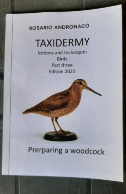 Taxidermy notions and techniques birds Part 3 Preparing a woodcock edition 2025