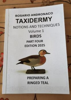 Taxidermy Concepts and Techniques vol 1 birds edition 2025 part four Preparing a ringed teal