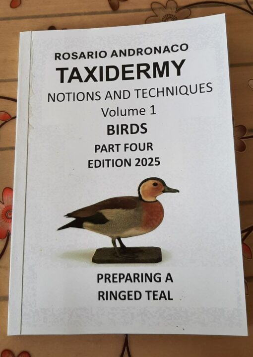 Taxidermy Concepts and Techniques vol 1 birds edition 2025 part four Preparing a ringed teal