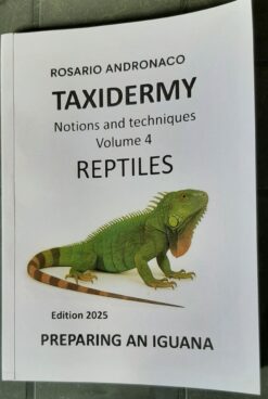 Taxidermy, Reptiles, Preparing an Iguana edition 2025