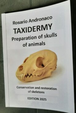 Taxidermy, Preparation of animal skulls, ed. 2025