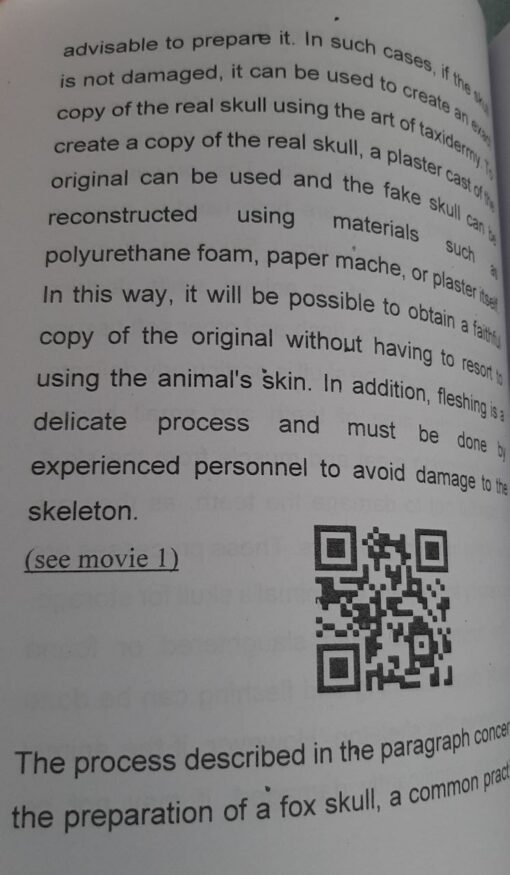 Taxidermy, Preparation of animal skulls, ed. 2025 - immagine 2