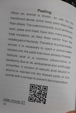 Alternative view of Taxidermy: mammals Embalming a fox edition 2025