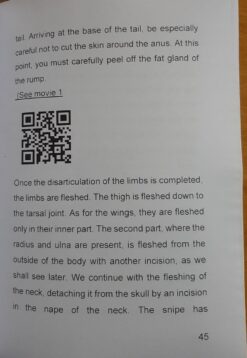 Alternative view of Taxidermy notions and techniques Vol 1 birds part 5 Preparation of a snipe