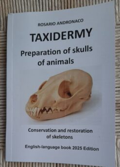 Taxidermy, Preparation of animal skulls