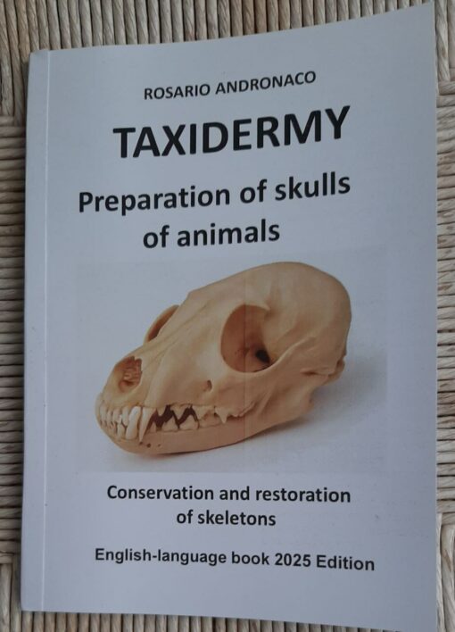 Taxidermy, Preparation of animal skulls