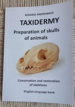Taxidermy, Preparation of animal skulls